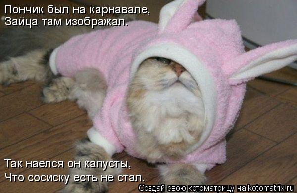 Котоматрица: Пончик был на карнавале, Зайца там изображал. Так наелся он капусты,  Что сосиску есть не стал.