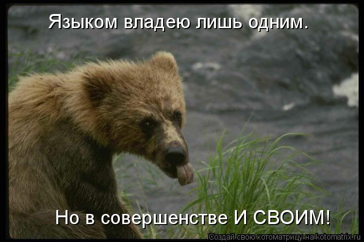 Котоматрица: Языком владею лишь одним.  Но в совершенстве И СВОИМ!
