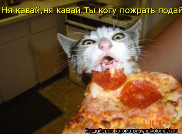 Котоматрица: Ня кавай,ня кавай ^^Ты коту пожрать подай Ня кавай,ня кавай.Ты коту пожрать подай Ня кавай,ня кавай.Ты коту пожрать подай Ня кавай,ня кавай.Ты 
