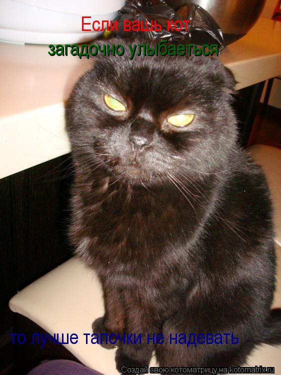 Котоматрица: Если вашь кот загадочно улыбаеться  то лучше тапочки не надевать