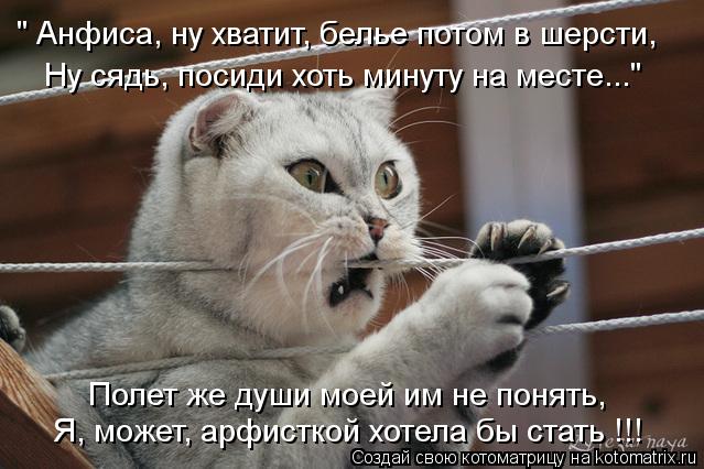 Котоматрица: " Анфиса, ну хватит, белье потом в шерсти, Ну сядь, посиди хоть минуту на месте..." Полет же души моей им не понять, Я, может, арфисткой хотела бы 