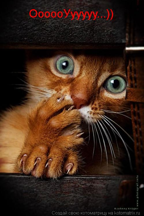 Котоматрица: ОооооУууууу...))