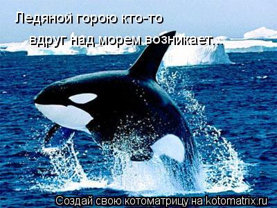 Котоматрица: Ледяной горою кто-то вдруг над морем возникает...