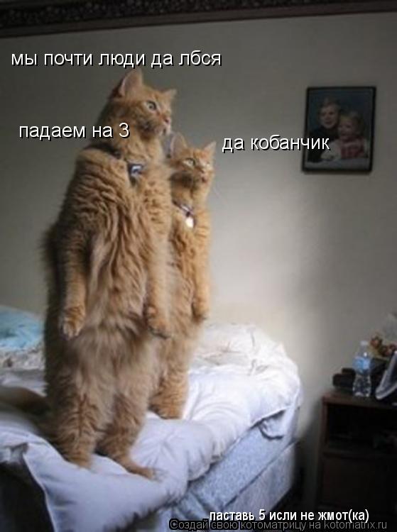 Котоматрица: мы почти люди да лбся да кобанчик падаем на 3 паставь 5 исли не жмот(ка)