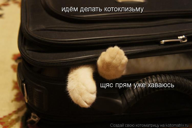 Котоматрица: идём делать котоклизьму щяс прям уже хаваюсь