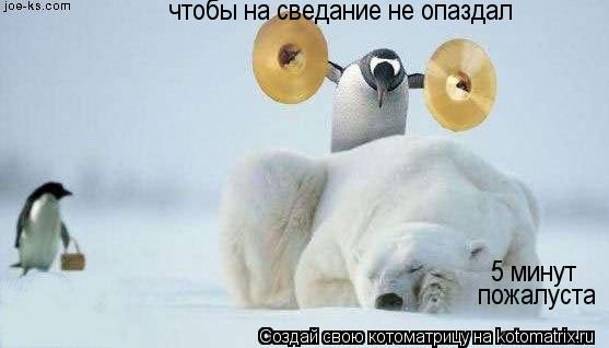 Котоматрица: чтобы на сведание не опаздал 5 минут пожалуста