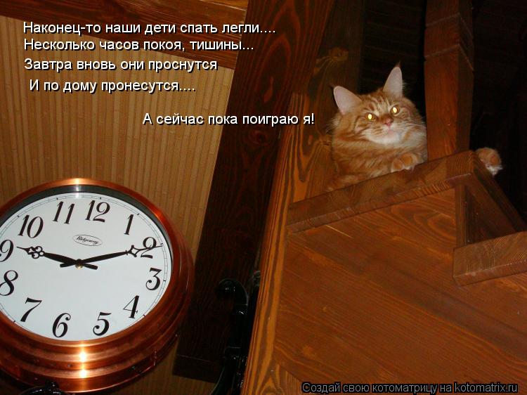 Котоматрица: Наконец-то наши дети спать легли.... Несколько часов покоя, тишины... Завтра вновь они проснутся   И по дому пронесутся.... А сейчас пока поиграю