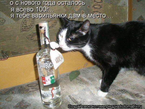 Котоматрица: о с нового года осталось я всево 100г... я тебе варильянки дам в место ...