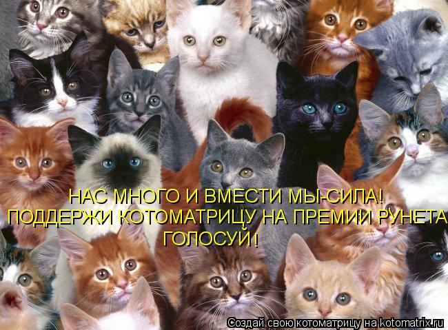 НАС МНОГО И ВМЕСТИ МЫ-СИЛА! ПОДДЕРЖИ КОТОМАТРИЦУ НА ПРЕМИИ РУНЕТА ГОЛОСУЙ !... Котоматрица: НАС МНОГО И ВМЕСТИ МЫ-СИЛА! ПОДДЕРЖИ КОТОМАТРИЦУ НА ПРЕМИИ РУНЕТА ГОЛОСУЙ !