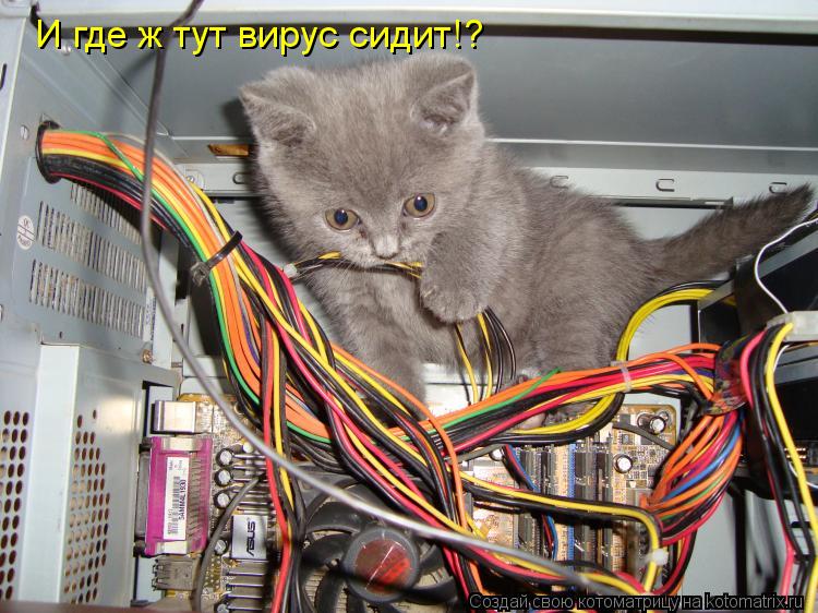 И где ж тут вирус сидит!?... Котоматрица: И где ж тут вирус сидит!?
