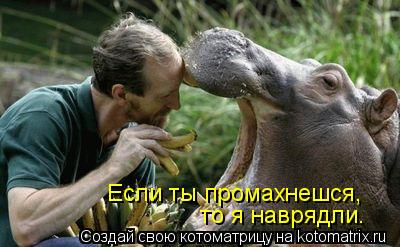 Если ты промахнешся, то я наврядли.... Котоматрица: Если ты промахнешся, то я наврядли.
