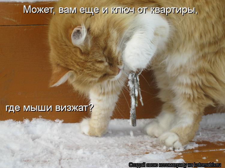 Может, вам еще и ключ от квартиры, где мыши визжат?... Котоматрица: Может, вам еще и ключ от квартиры, где мыши визжат?