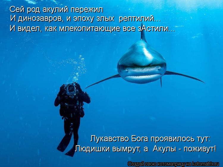 Сей род акулий пережил И динозавров, и эпоху злых рептилий... И видел, как млекопитающие все зАстили... Котоматрица: Сей род акулий пережил И динозавров, и эпоху злых рептилий... И видел, как млекопитающие все зАстили... Людишки вымрут, а Акулы - поживут! Лука