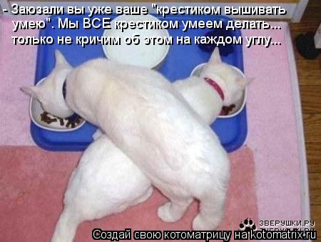 Котоматрица: - Заюзали вы уже ваше "крестиком вышивать  умею". Мы ВСЕ крестиком умеем делать...  только не кричим об этом на каждом углу...