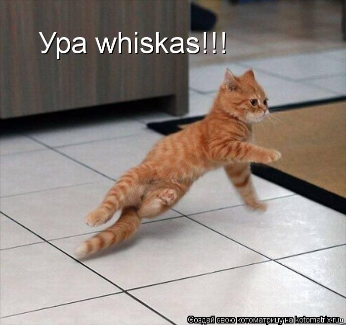 Котоматрица: Ура whiskas!!!