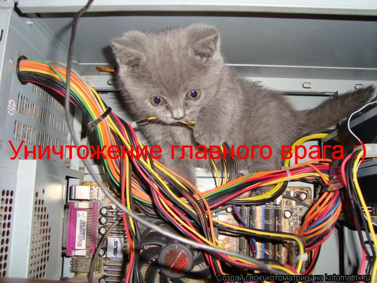 Котоматрица: Уничтожение главного врага :)