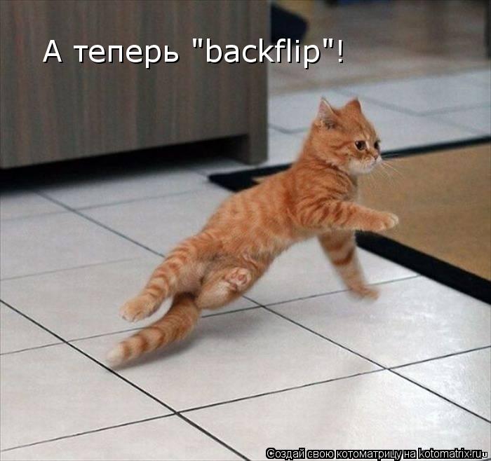 Котоматрица: A теперь "backflip"!