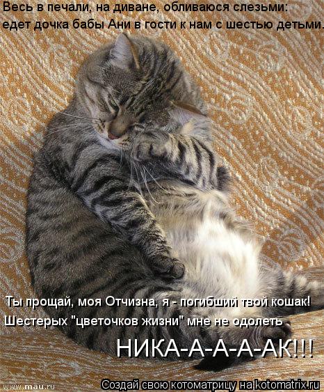 Котоматрица: Весь в печали, на диване, обливаюся слезьми: едет дочка бабы Ани в гости к нам с шестью детьми. Ты прощай, моя Отчизна, я - погибший твой кошак! 