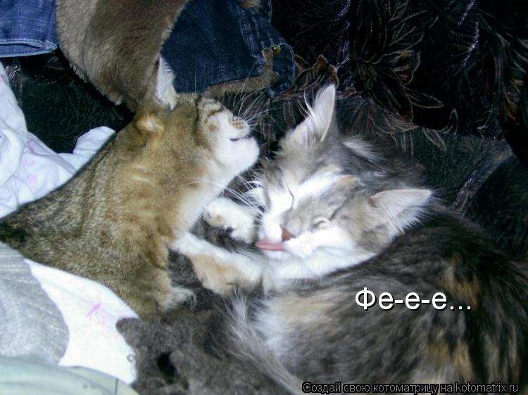 Котоматрица: Фе-е-е...