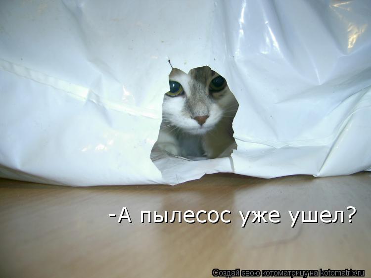 Котоматрица: -А пылесос уже ушел?