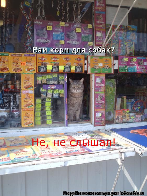 Котоматрица: Вам корм для собак? Не, не слышал!