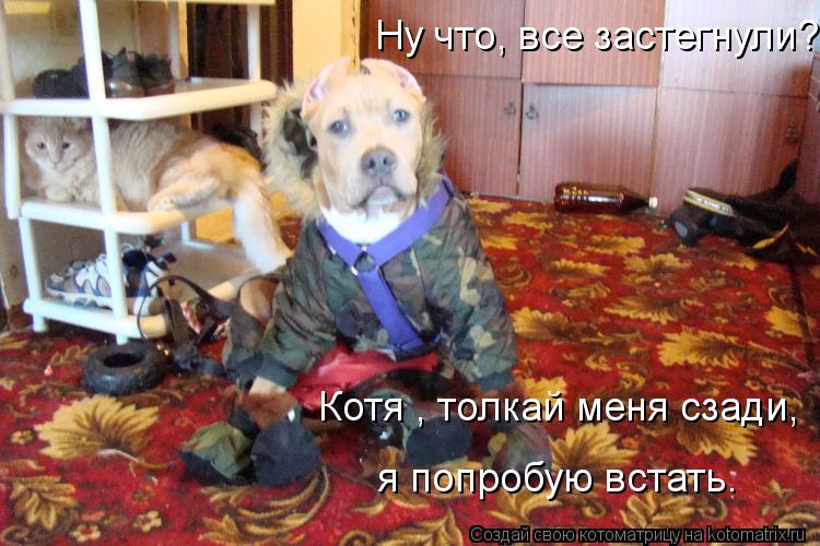 Котоматрица: Ну что, все застегнули? Котя , толкай меня сзади, я попробую встать.