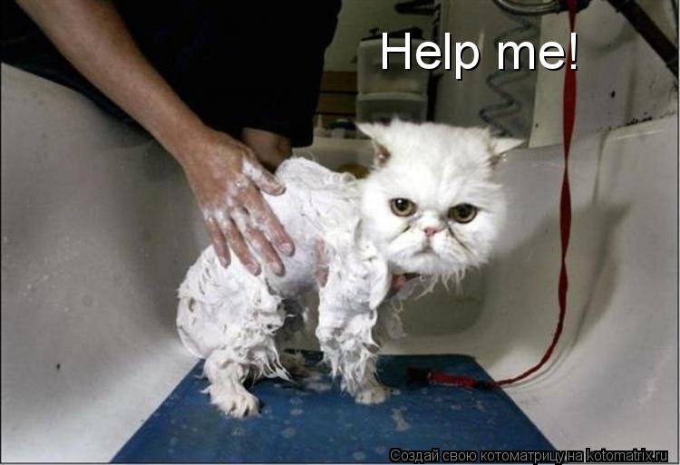 Котоматрица: Help me!
