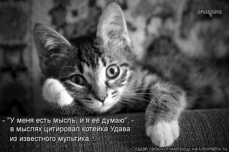 Котоматрица: - "У меня есть мысль, и я её думаю", -  в мыслях цитировал котейка Удава из известного мультика...