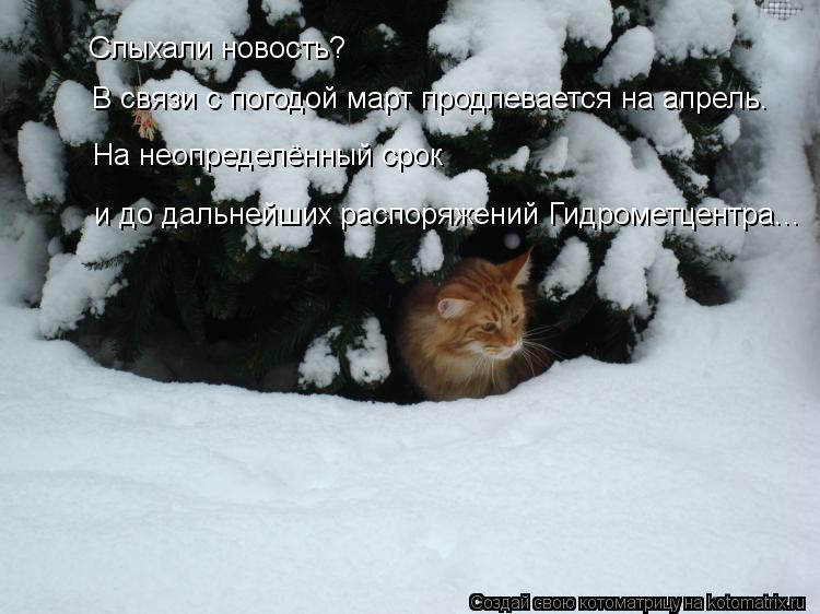 Слыхали новость? В связи с погодой март продлевается на апрель. На неопределённый срок и до дальнейши... Котоматрица: Слыхали новость? В связи с погодой март продлевается на апрель. На неопределённый срок и до дальнейших распоряжений Гидрометцентра...