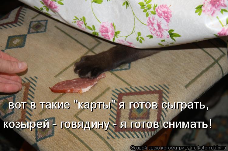 вот в такие "карты" я готов сыграть, козырей - говядину - я готов снимать!... Котоматрица: вот в такие "карты" я готов сыграть, козырей - говядину - я готов снимать!