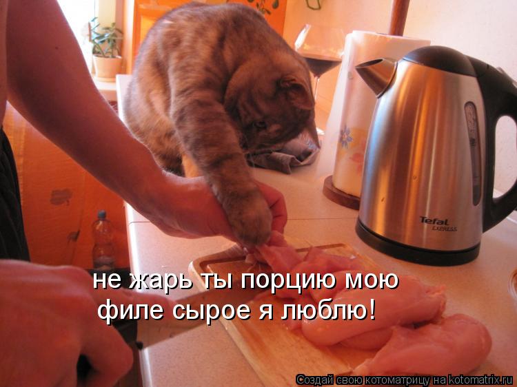 не жарь ты порцию мою филе сырое я люблю!... Котоматрица: не жарь ты порцию мою филе сырое я люблю!