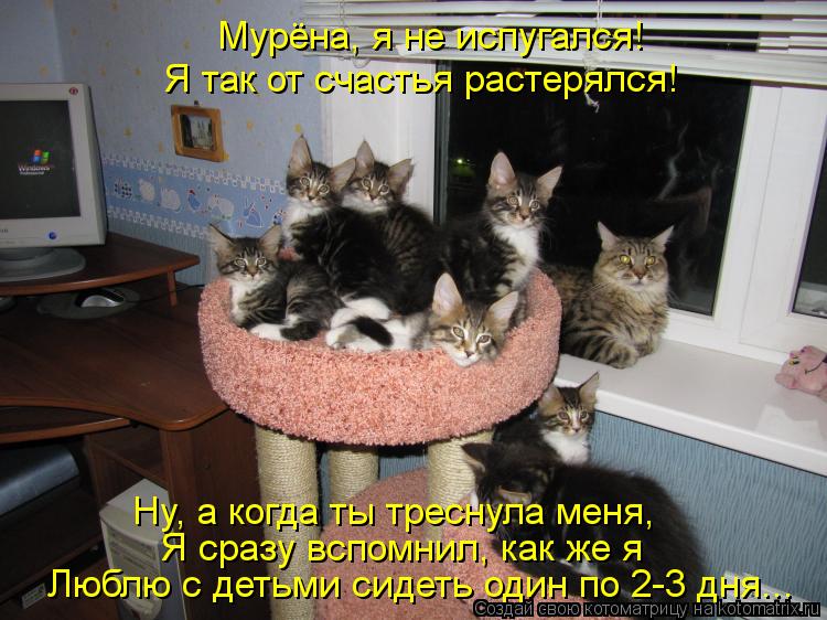 Люблю с детьми сидеть один по 2-3 дня... Мурёна, я не испугался! Я так от счастья растерялся! Я сразу... Котоматрица: Люблю с детьми сидеть один по 2-3 дня... Мурёна, я не испугался! Я так от счастья растерялся! Я сразу вспомнил, как же я Ну, а когда ты треснула ме