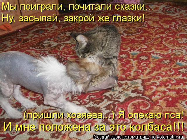 Котоматрица: Мы поиграли, почитали сказки...  Ну, засыпай, закрой же глазки! (пришли хозяева...) Я опекаю пса! И мне положена за это колбаса!!!