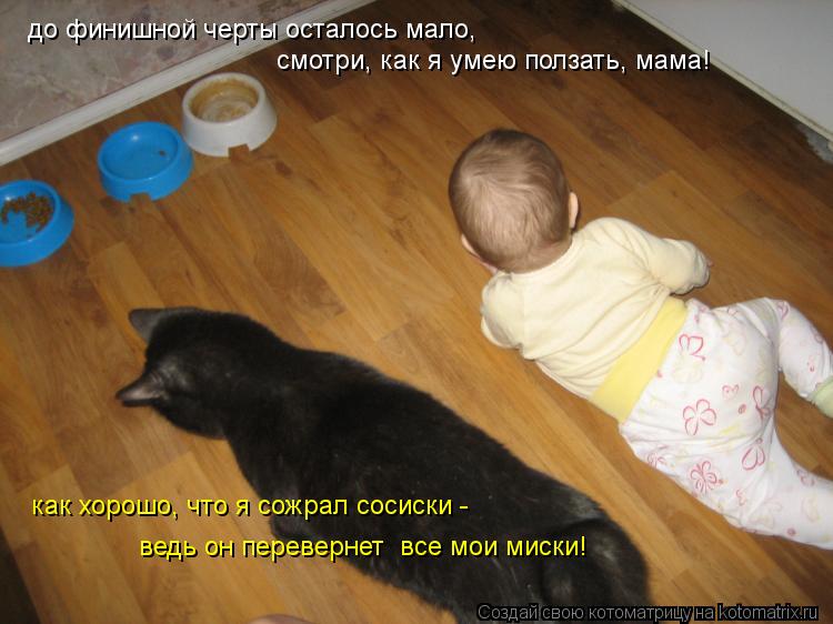до финишной черты осталось мало, смотри, как я умею ползать, мама! как хорошо, что я сожрал сосиски -... Котоматрица: до финишной черты осталось мало, смотри, как я умею ползать, мама! как хорошо, что я сожрал сосиски - ведь он перевернет все мои миски!
