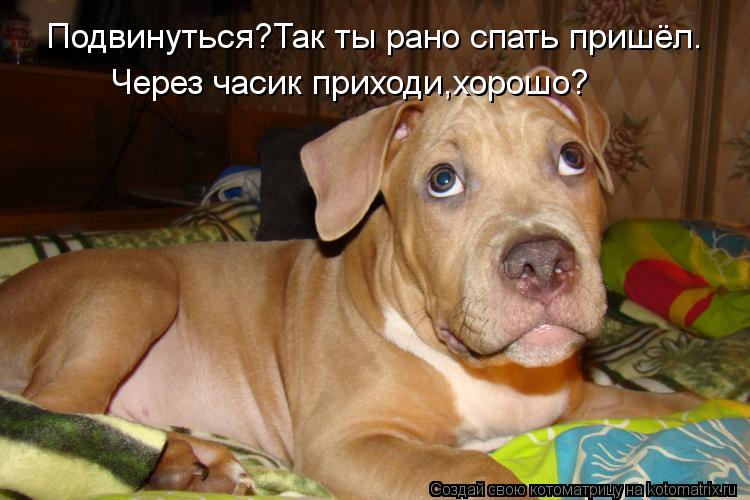 Подвинуться?Так ты рано спать пришёл. Через часик приходи,хорошо?... Котоматрица: Подвинуться?Так ты рано спать пришёл. Через часик приходи,хорошо?