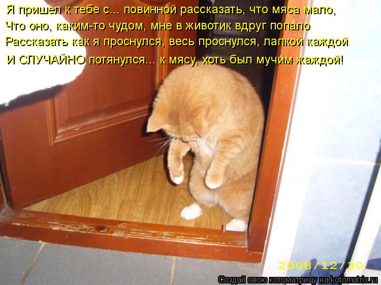 Я пришел к тебе с... повинной рассказать, что мяса мало, Что оно, каким-то чудом, мне в животик вдр... Котоматрица: Я пришел к тебе с... повинной рассказать, что мяса мало, Что оно, каким-то чудом, мне в животик вдруг попало Рассказать как я проснулся, весь