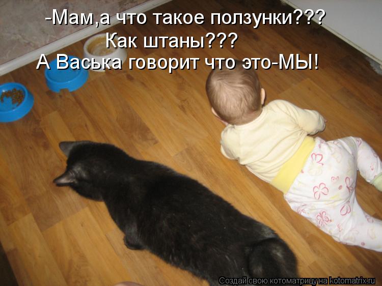 Котоматрица: -Мам,а что такое ползунки??? Как штаны??? А Васька говорит что это-МЫ!