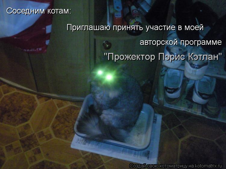 Котоматрица: Соседним котам: Приглашаю принять участие в моей  авторской программе "Прожектор Пэрис К "Прожектор Пэрис Кэтлан"