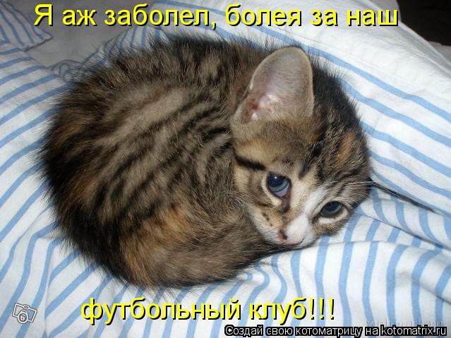 Котоматрица: Я аж заболел, болея за наш футбольный клуб!!!