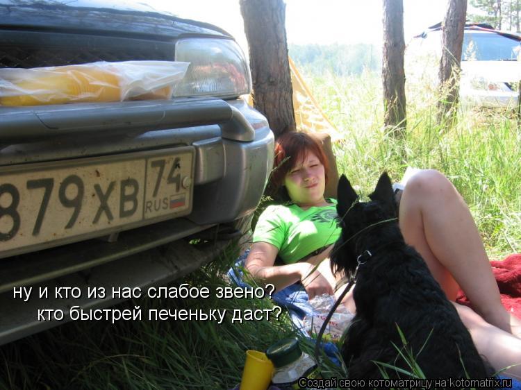 Котоматрица: ну и кто из нас слабое звено? кто быстрей печеньку даст?