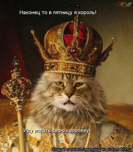 Наконец то в пятницу я король! Иду искать свою королеву.... Котоматрица: Наконец то в пятницу я король! Иду искать свою королеву.