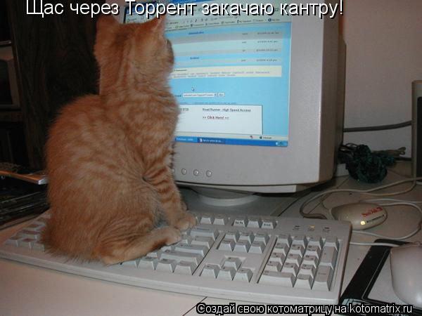 Щас через Торрент закачаю кантру!... Котоматрица: Щас через Торрент закачаю кантру!