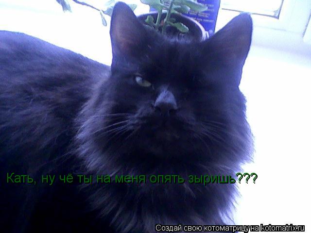 Кать, ну чё ты на меня опять зыришь???... Котоматрица: Кать, ну чё ты на меня опять зыришь???