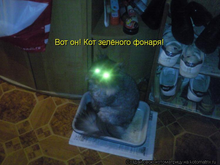 Вот он! Кот зелёного фонаря!... Котоматрица: Вот он! Кот зелёного фонаря!