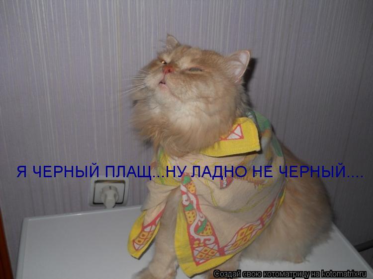 Я ЧЕРНЫЙ ПЛАЩ...НУ ЛАДНО НЕ ЧЕРНЫЙ.... Я ЧЕРНЫЙ ПЛАЩ...НУ ЛАДНО НЕ ЧЕРНЫЙ....... Котоматрица: Я ЧЕРНЫЙ ПЛАЩ...НУ ЛАДНО НЕ ЧЕРНЫЙ.... Я ЧЕРНЫЙ ПЛАЩ...НУ ЛАДНО НЕ ЧЕРНЫЙ....