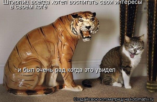 Штирлиц всегда хотел воспитать свои интересы в своем коте и был очень рад когда это увидел... Котоматрица: Штирлиц всегда хотел воспитать свои интересы в своем коте и был очень рад когда это увидел