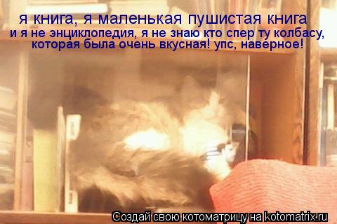 я книга, я маленькая пушистая книга и я не энциклопедия, я не знаю кто спер ту колбасу, которая был... Котоматрица: я книга, я маленькая пушистая книга и я не энциклопедия, я не знаю кто спер ту колбасу, которая была очень вкусная! упс, наверное!
