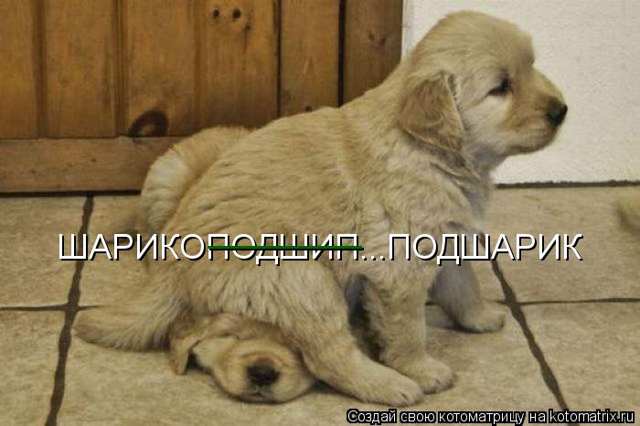ШАРИКОПОДШИП...ПОДШАРИК ________... Котоматрица: ШАРИКОПОДШИП...ПОДШАРИК ________