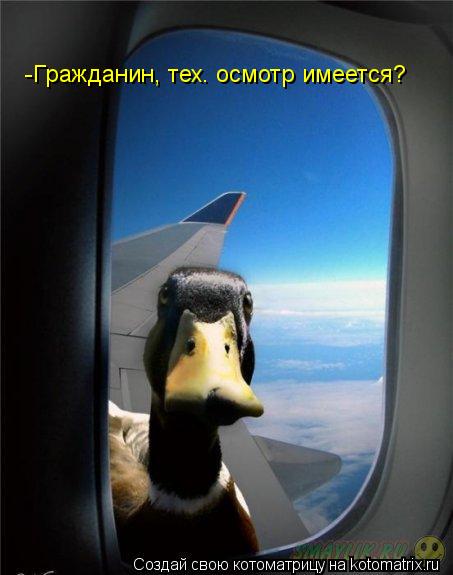 -Гражданин, тех. осмотр имеется?... Котоматрица: -Гражданин, тех. осмотр имеется?