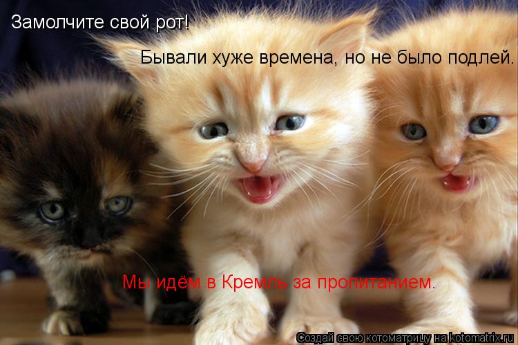 Замолчите свой рот! Бывали хуже времена, но не было подлей. Мы идём в Кремль за пропитанием.... Котоматрица: Замолчите свой рот! Бывали хуже времена, но не было подлей. Мы идём в Кремль за пропитанием.